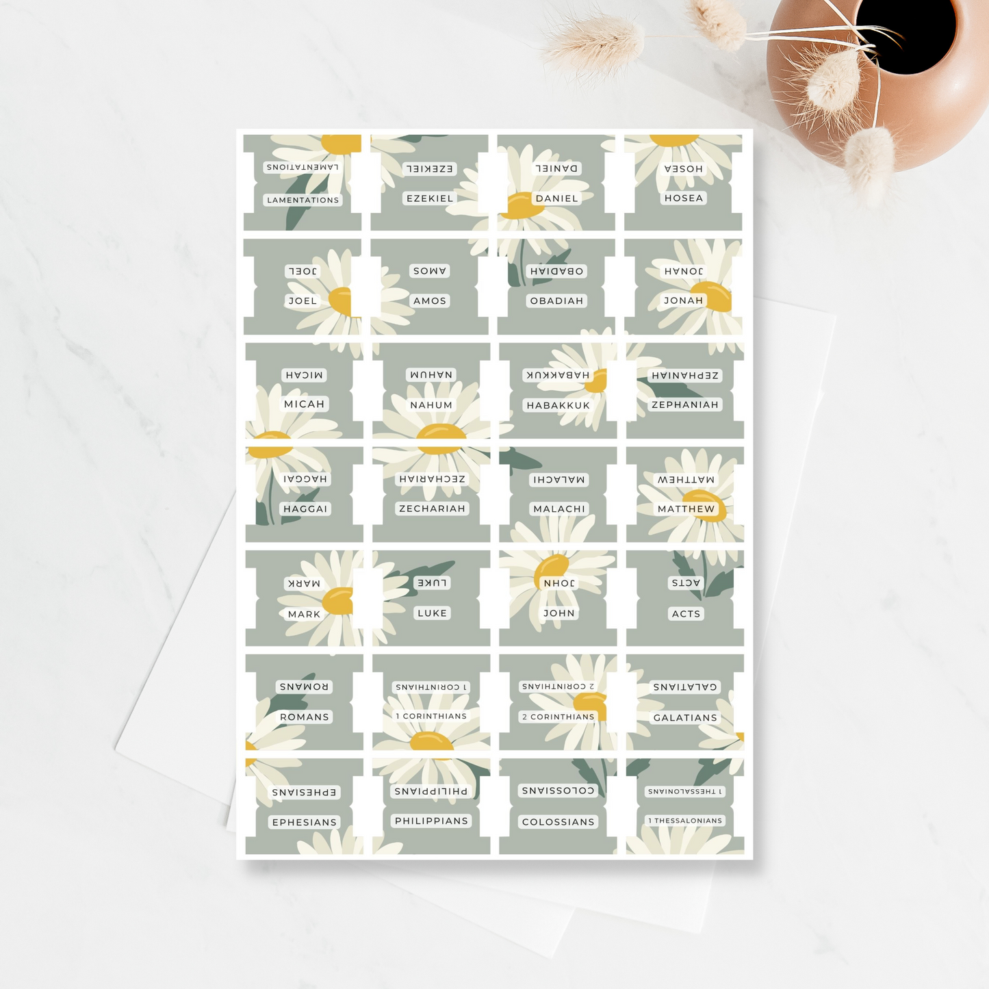 Daisy Fields Bible Tabs