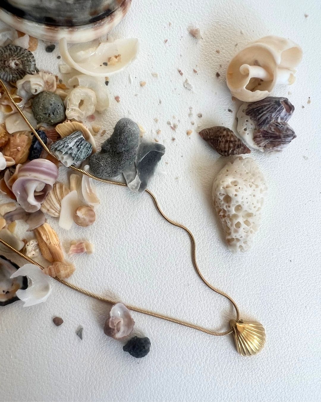 Clam Shell Skinny Snake 18K Gold plated Necklace  - 18 Inch